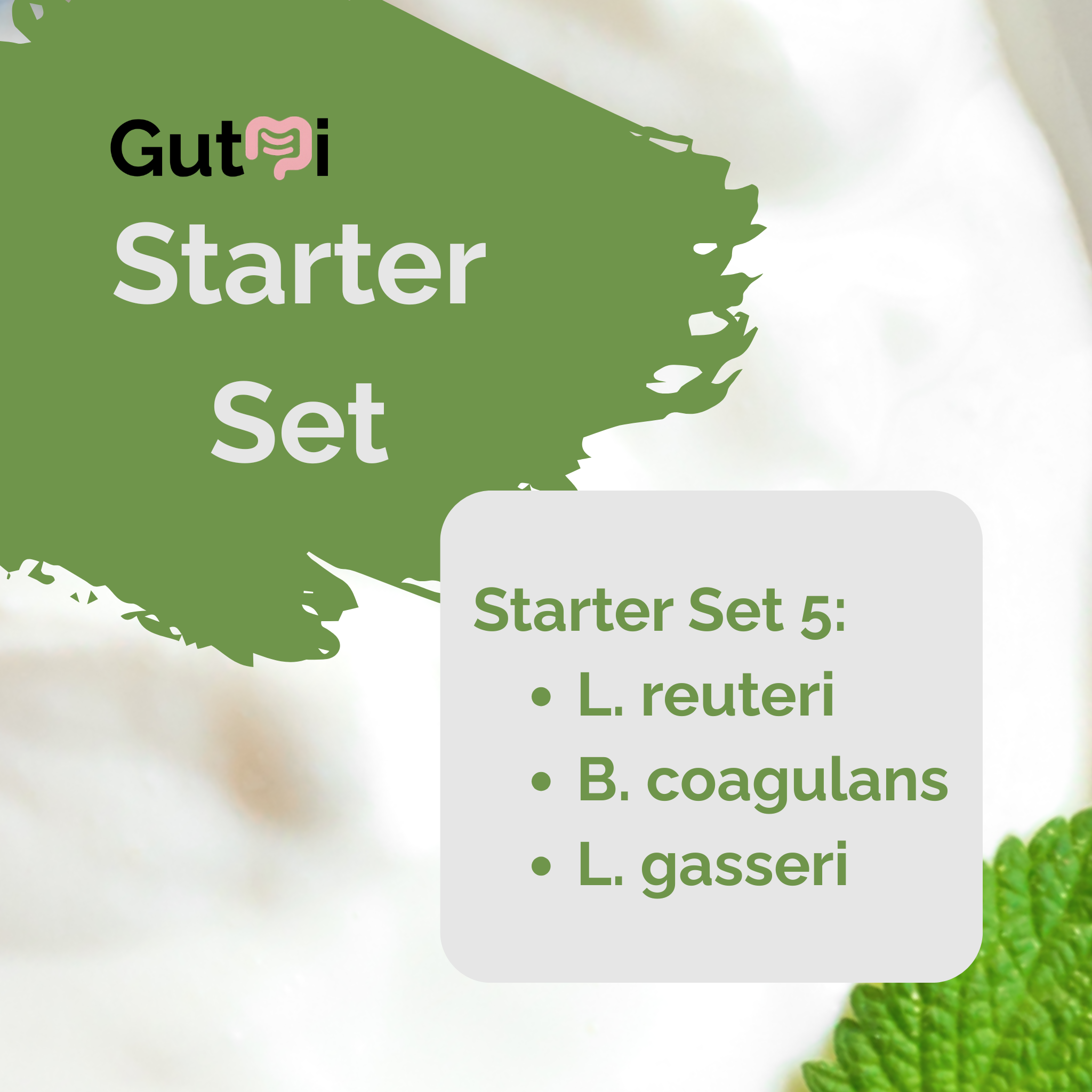 GutMi | L. reuteri + B. coagulans + L. gasseri | Yogurt Starter Set | SIBO | Starter Cultures | Pack of 3