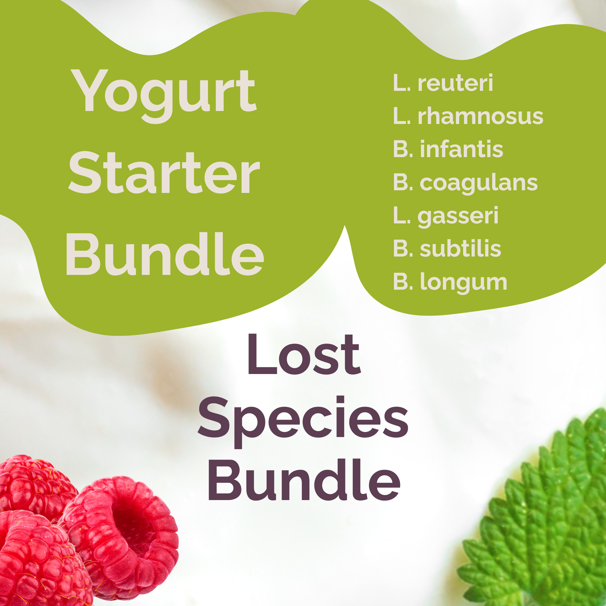 L. reuteri + L. rhamnosus + B. infantis + B. coagulans + L. gasseri + B. subtilis + B. longum | Lost Species Bundle | Yogurt Starter Bundle | Pack of 4 Sets