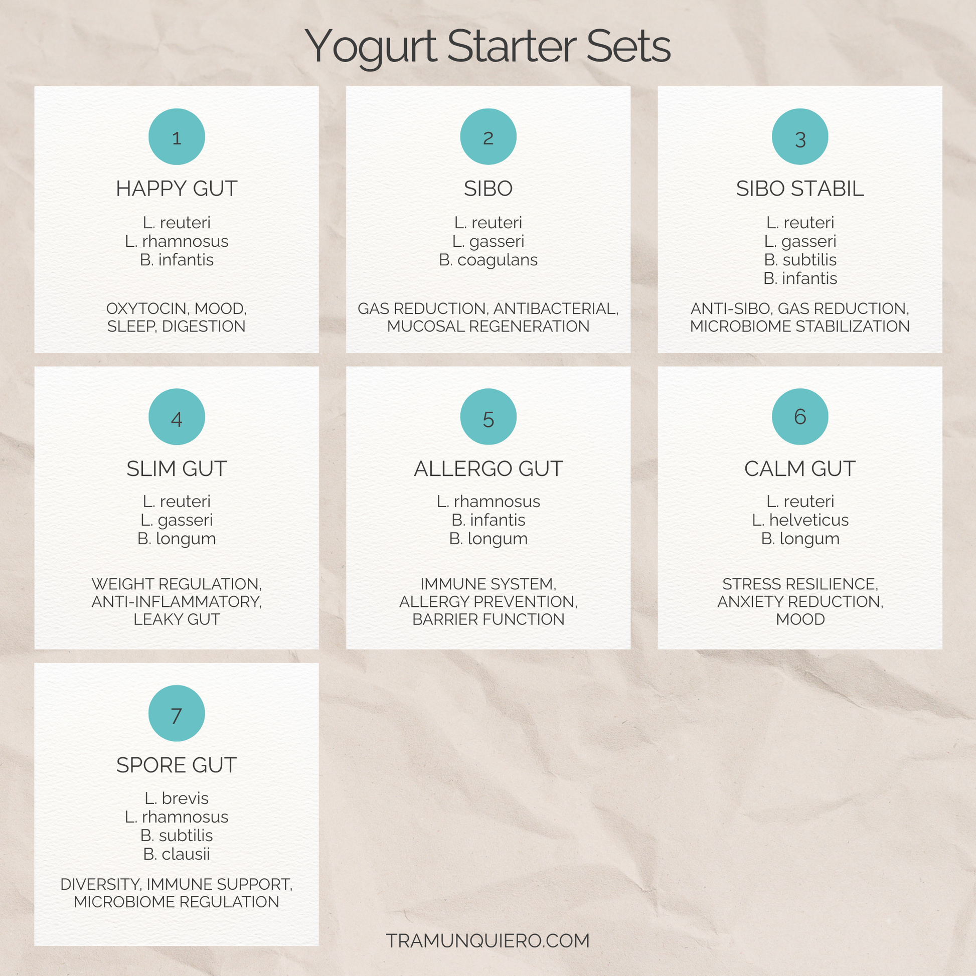 Starter Set "Slim Gut" | L. reuteri, L. gasseri, B. longum-Joghurt